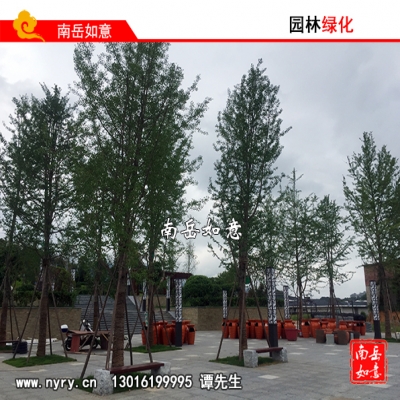 湖南株洲园林景观设计、湖南株洲绿化养护、湖南株洲苗木生产与销售、湖南株洲园林苗木栽植队伍、绿化苗木养护